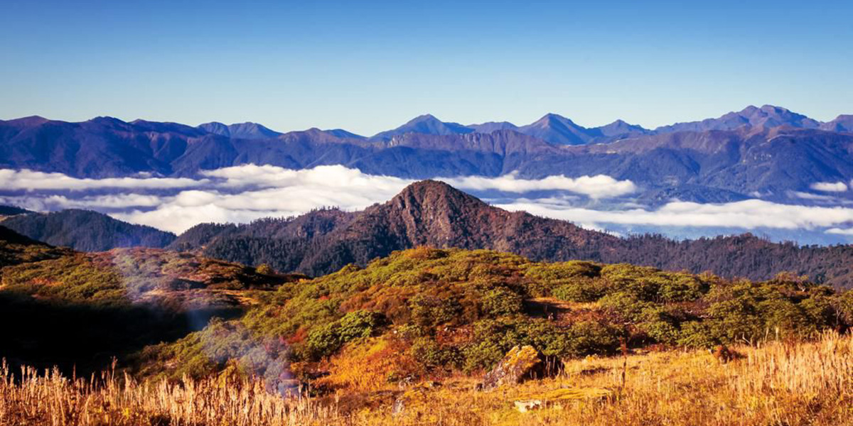 Bhutan Immersive Experience